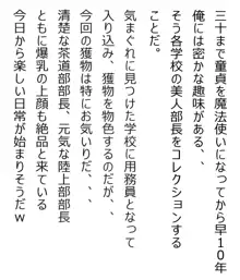 40歳魔法使いの部長コレクション, 日本語