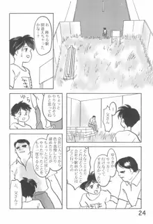 貧乳学級3, 日本語