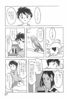 貧乳学級3, 日本語