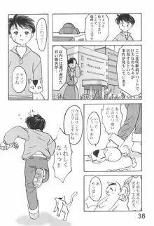 貧乳学級3, 日本語