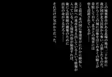 元女騎士と貧民街の娼館で再会した。, 日本語