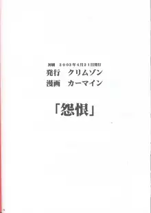 怨恨, 日本語