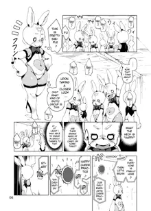 Happy Bunnys e Sennyuu! -Inran Ero Usagi-ka Suit-, English