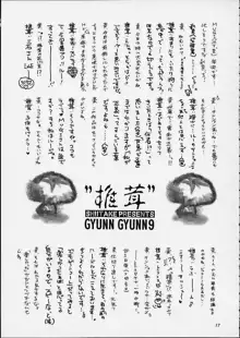 Gyunn Gyunn 9, 日本語