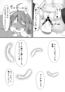 みすちー本, 日本語