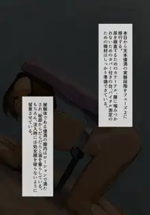 地上の階下～豚・馬との交配、及び着床の実験報告～, 日本語