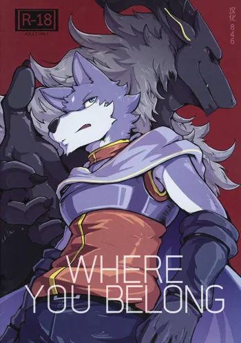 Where You Belong, 中文