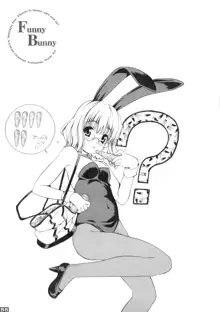 FUNNY BUNNY, 日本語