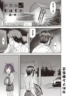 Kaname Date #9, 中文