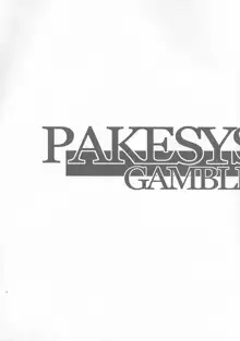 PAKESYS FORCE, 日本語