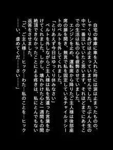 2020年になりました！, 日本語