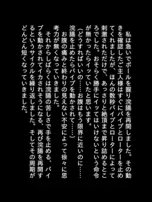 2020年になりました！, 日本語