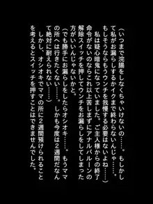 2020年になりました！, 日本語