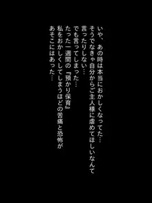 2020年になりました！, 日本語