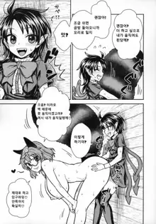 Nue-chan vs Mamizou-san, 한국어