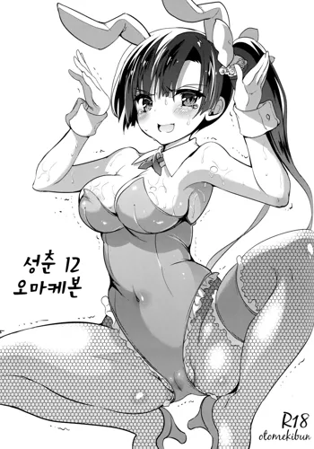 Seishun 12 no Omake-gami | 성춘 12 오마케본, 한국어