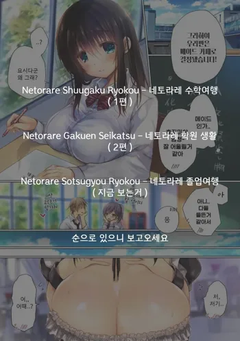 Netorare Sotsugyou Ryokou | 네토라레 졸업 여행, 한국어