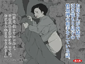 Okaa-san ga Naisho de Hikikomori Musuko no Seishori no Aite o Shiteiru Hanashi., 中文