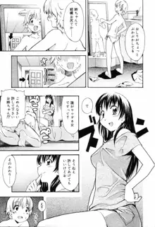 お姉ちゃんのお願い, 日本語