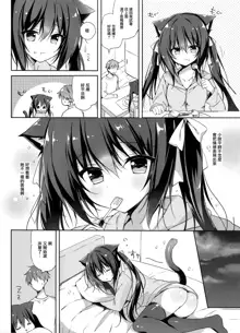 Koneko to Nyan Nyan Biyori, 中文