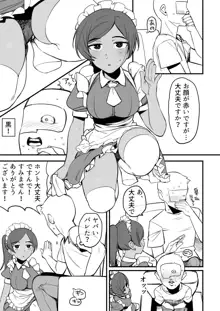 ライラさんはメイドさん, 日本語