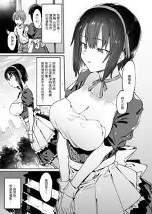 Bokunchi no Maid-san., 中文