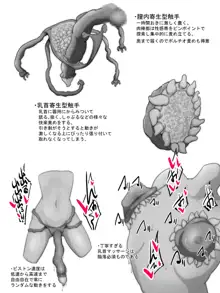 淫魔討伐を終えた退魔師の様子がなにかおかしい, 日本語