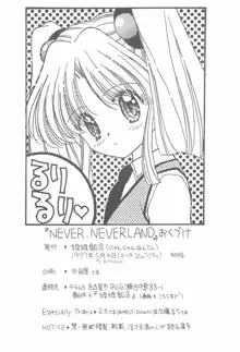 NEVER, NEVERLAND, 日本語