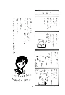 フェアリィセイバー Vol.1, 日本語