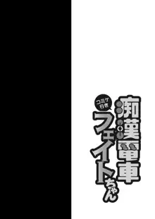 コ〇ケ行き痴漢電車フェイトちゃん, 日本語