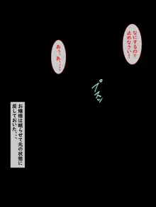 ‐完全拘束‐お嬢様(あいつら)は俺たちのおもちゃ, 日本語