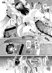 Kyonyuu Iinchou no Manko Junan ~Shokushu Lost Virgin & Rinkan Shuugaku Ryokou~, 中文