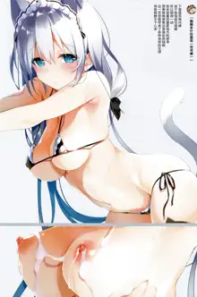 Neko Neko Art Works, 中文