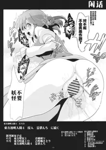 Touhou Toumei Ningen 3 Myouren Temple, 中文