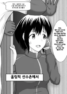 Netorare 2-koma | 네토라레 2컷, 한국어