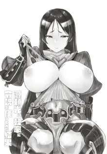 Minamoto no Raikou ni Keisotsu ni Reiju o Tsukatte mita Kekka, 中文