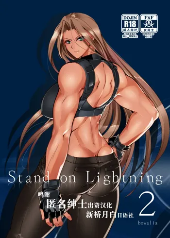 Stand on Lightning 2, 中文