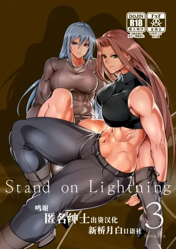 Stand on Lightning 3, 中文