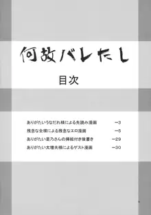 たのしいルーミアの犯しかた, 日本語