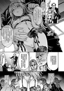 Tasogare no Shou Elf 6 - The story of Emma's side, 中文