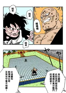 Videl vs Spopovich, 中文