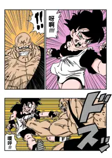 Videl vs Spopovich, 中文