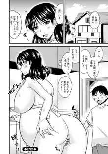 爆乳ママはオナホール, 日本語