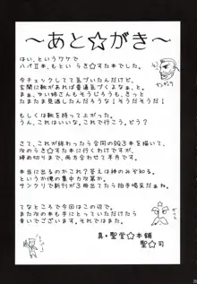 こなたが待つ 泉家 父が居ぬ間の1泊2日, 日本語