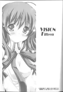 VISION Fifteen, 日本語