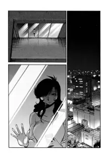 Monokage no Iris 3, English