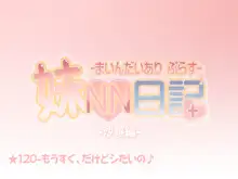 妹NN日記+-まいんだいあり ぷらす-, 日本語