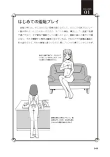 野外羞恥プレイ・露出青姦完全マニュアル イラスト版……そとプレッ！, 日本語