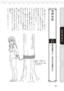 野外羞恥プレイ・露出青姦完全マニュアル イラスト版……そとプレッ！, 日本語