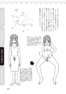 野外羞恥プレイ・露出青姦完全マニュアル イラスト版……そとプレッ！, 日本語